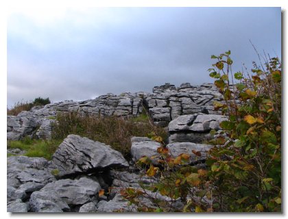 m) Burren Trip Three (6)